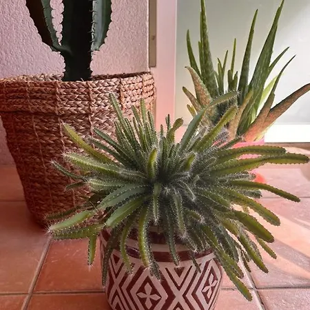 Bel Au Calme Climatise Avec Terrasse Appartement *