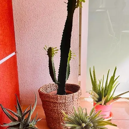 Appartement Bel Au Calme Climatise Avec Terrasse *